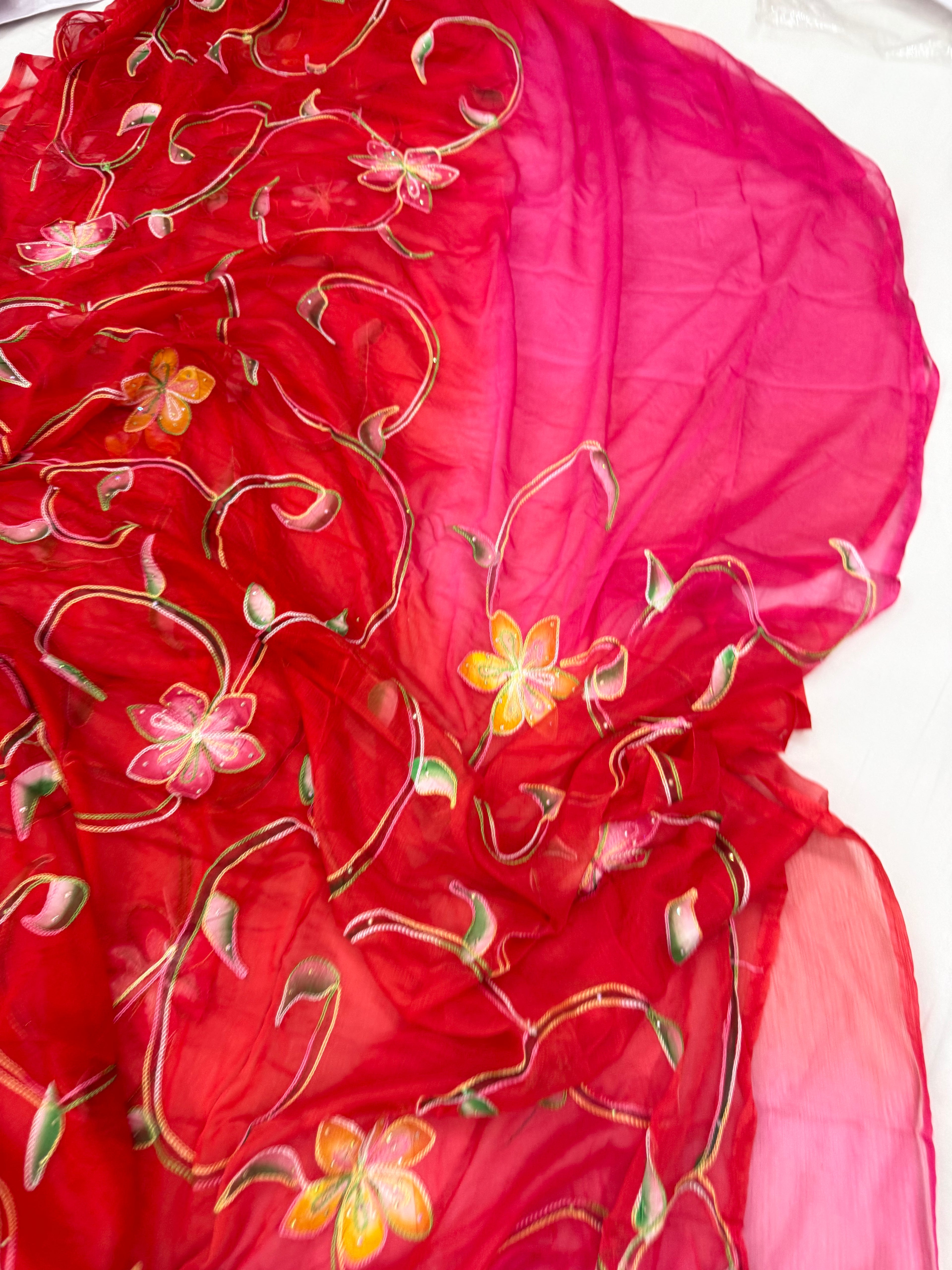 Pure Chiffon Hand Painted Saree | Red & Pink Ombre Embroidered Vine Floral